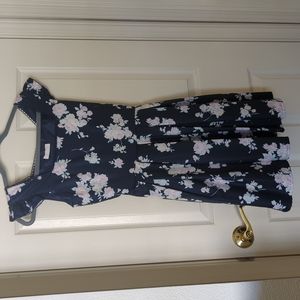 Liz Lisa Blue Floral Dress